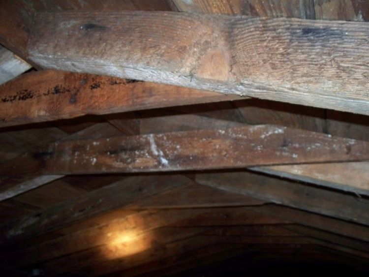 local roofer local contractor